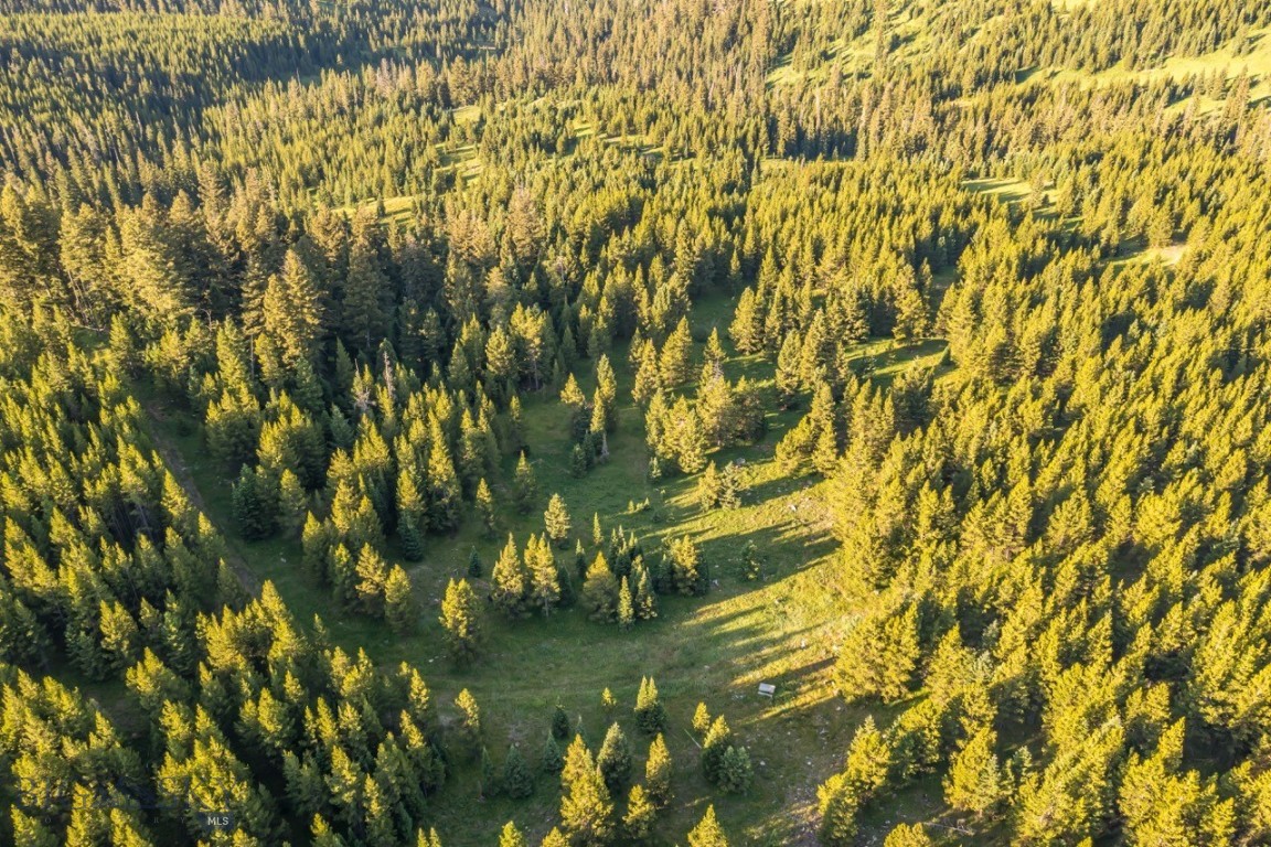 Tbd Jack Creek Road, Moonlight Territory Parcel 2 Property Photo 28