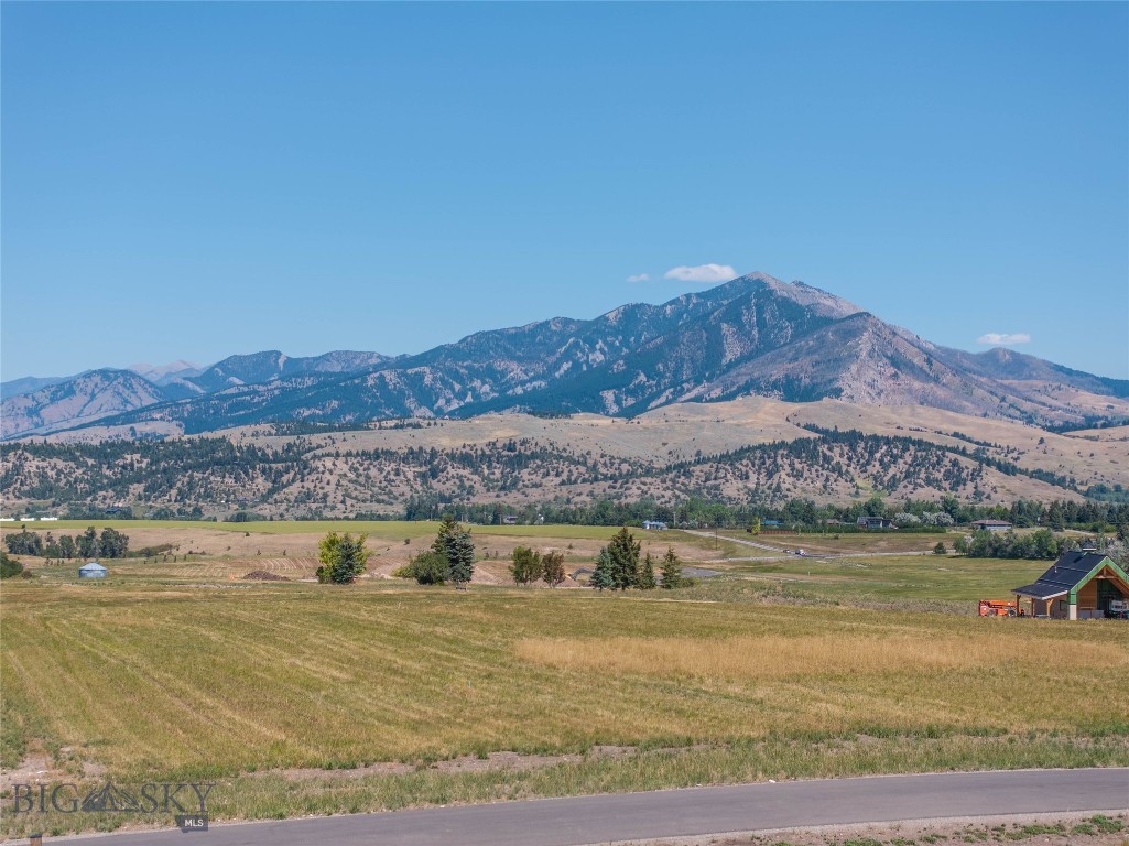101 Painted Ridge Property Photo 48