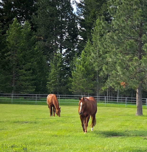 360 Tetrault Road Property Photo 23
