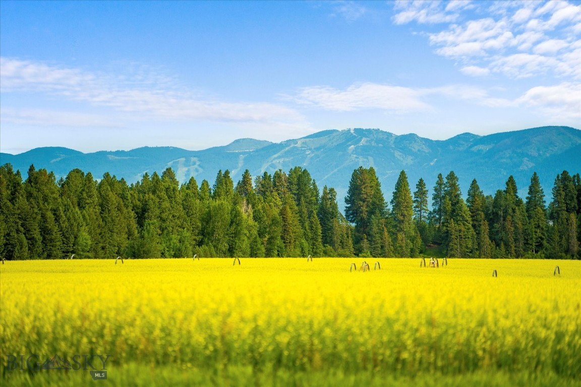 360 Tetrault Road Property Photo 28