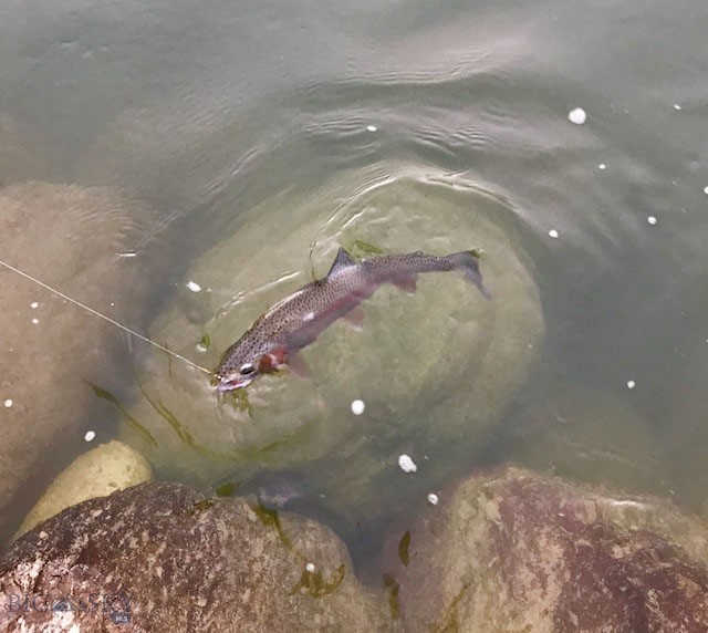 360 Tetrault Road Property Photo 34