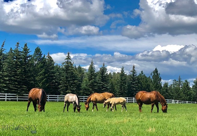 360 Tetrault Road Property Photo 80