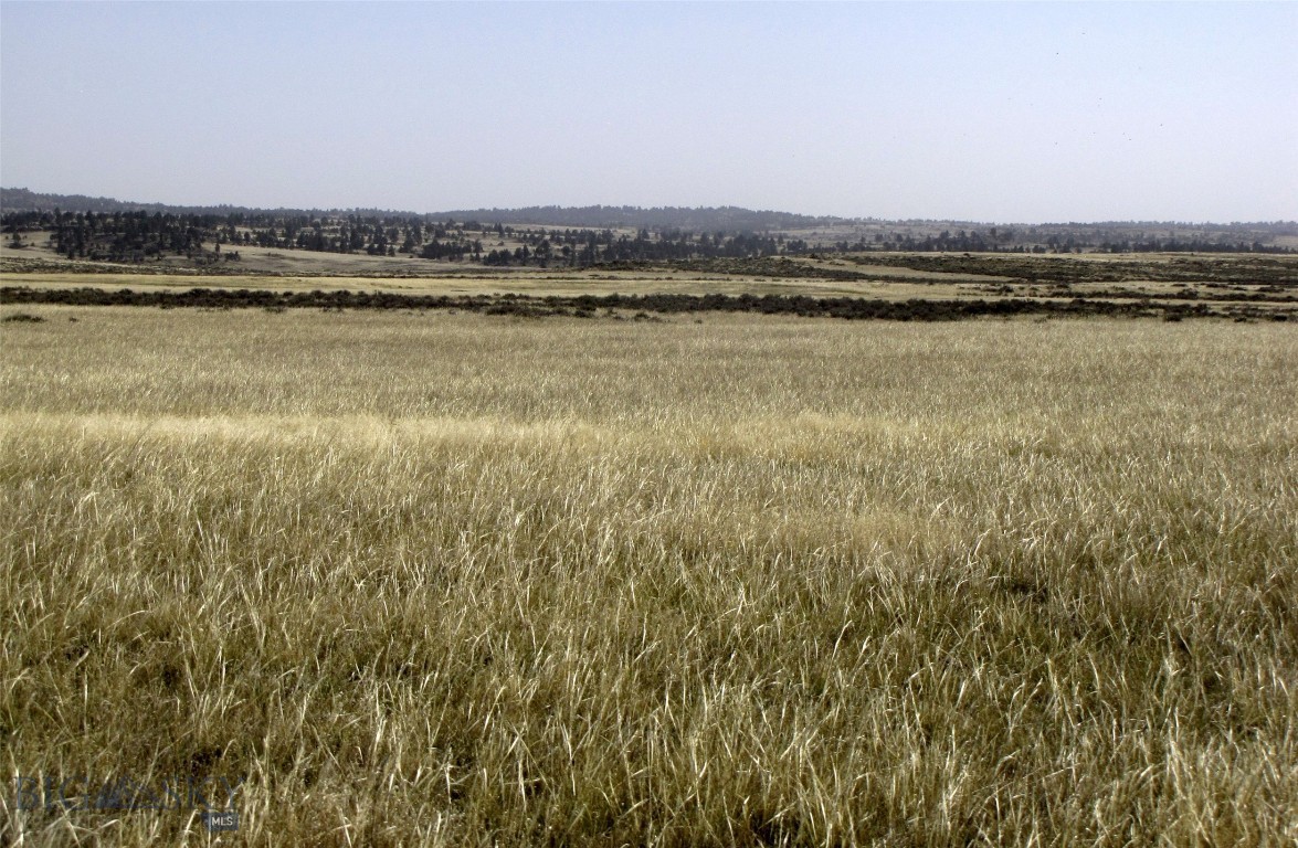 Tbd Lindstrom Road Property Photo 11