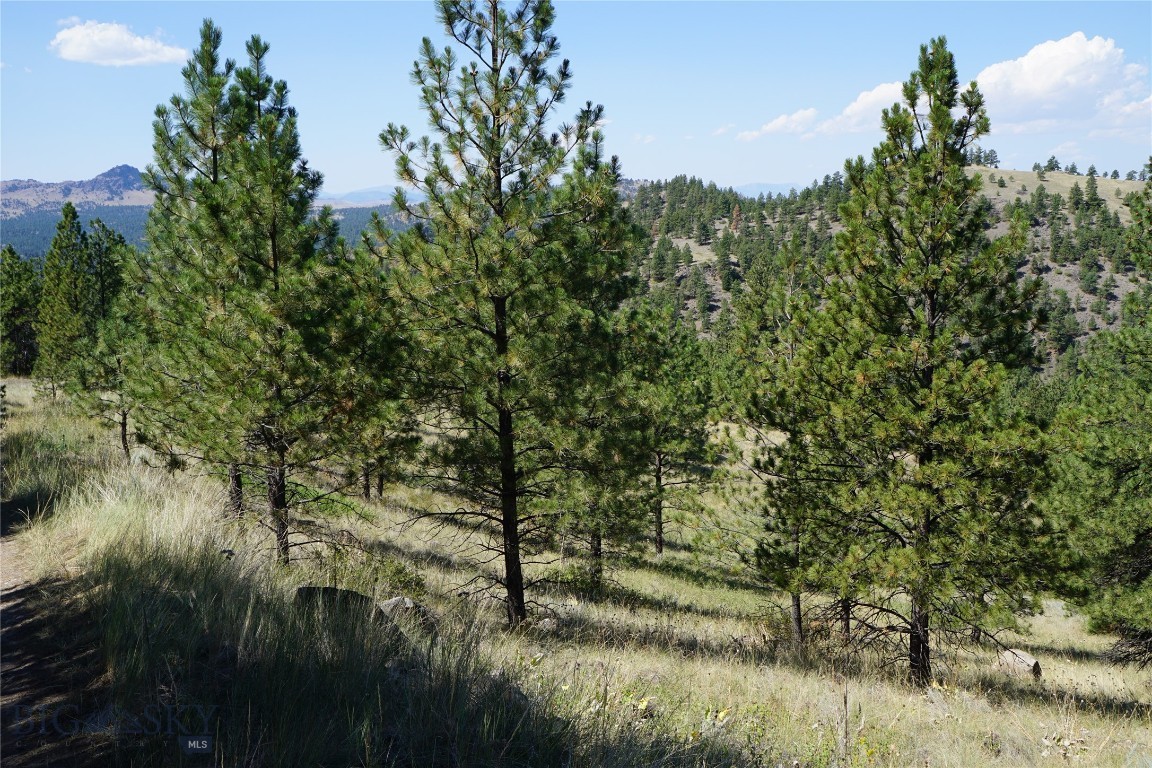 Tbd Ridge Crest Lane Property Photo 1