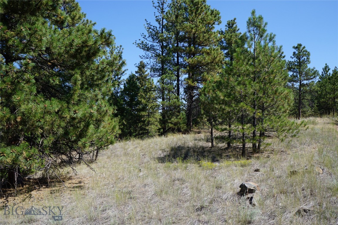 Tbd Ridge Crest Lane Property Photo 2