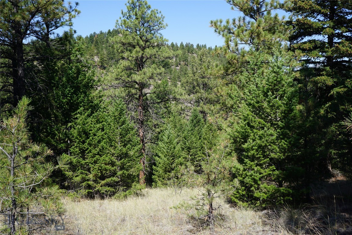 Tbd Ridge Crest Lane Property Photo 3