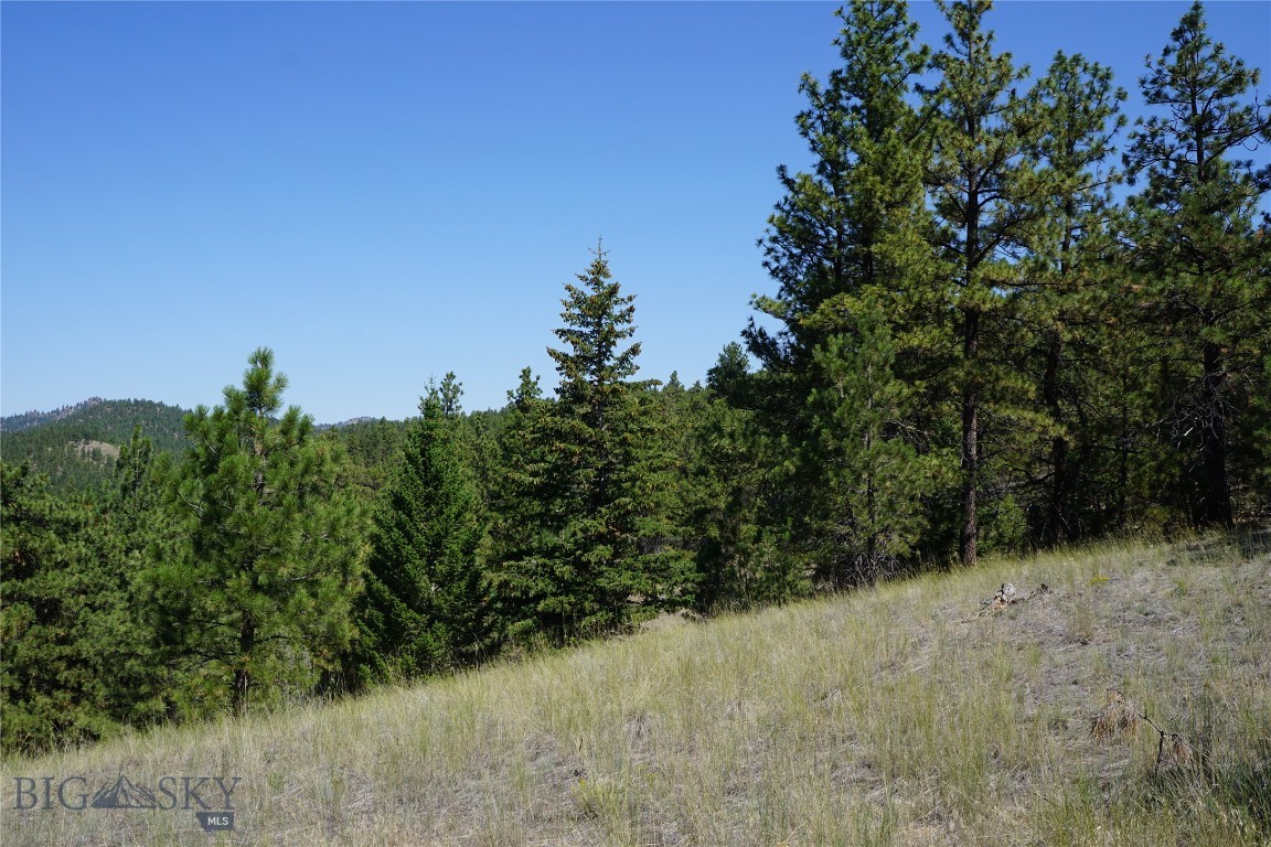 Tbd Ridge Crest Lane Property Photo 4