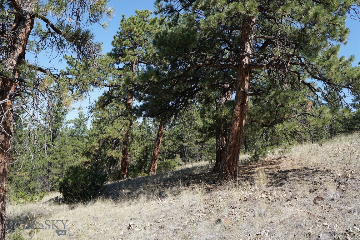 Tbd Ridge Crest Lane Property Photo 6