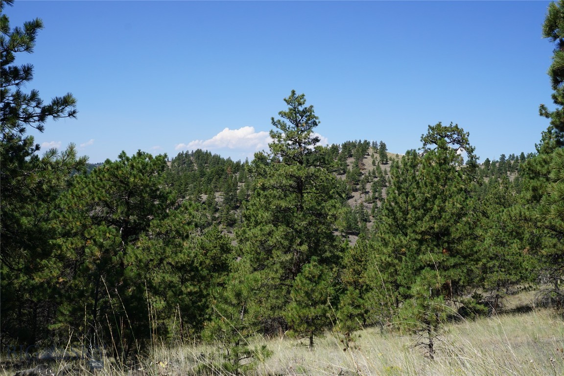 Tbd Ridge Crest Lane Property Photo 7