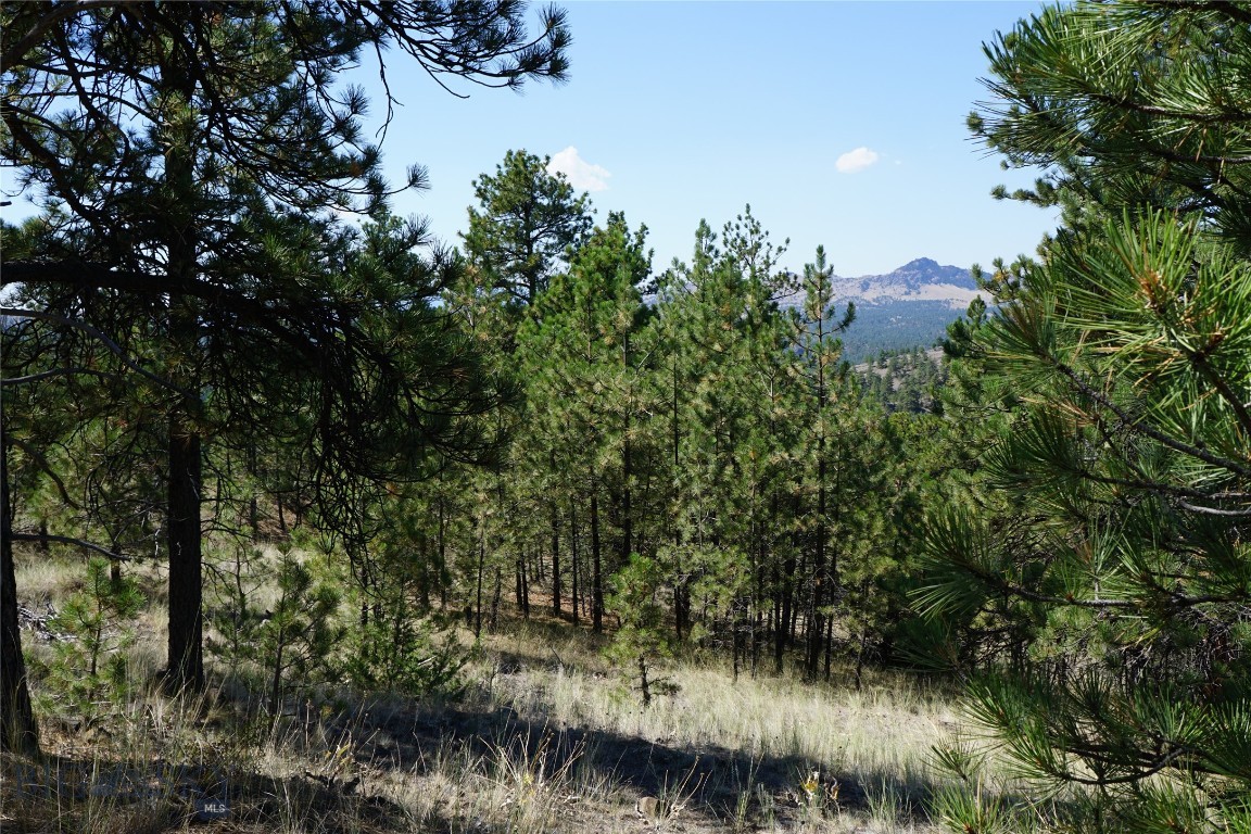 Tbd Ridge Crest Lane Property Photo 8