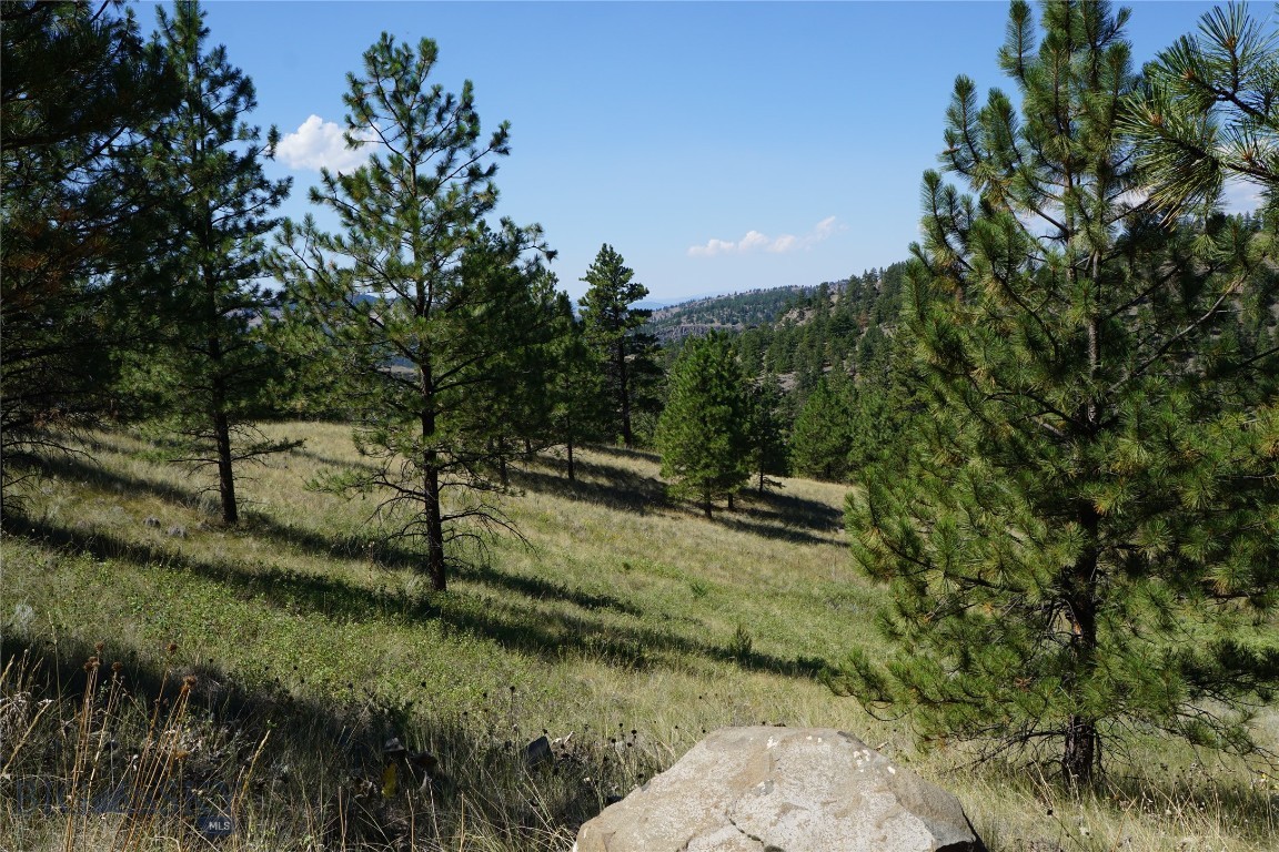 Tbd Ridge Crest Lane Property Photo 10