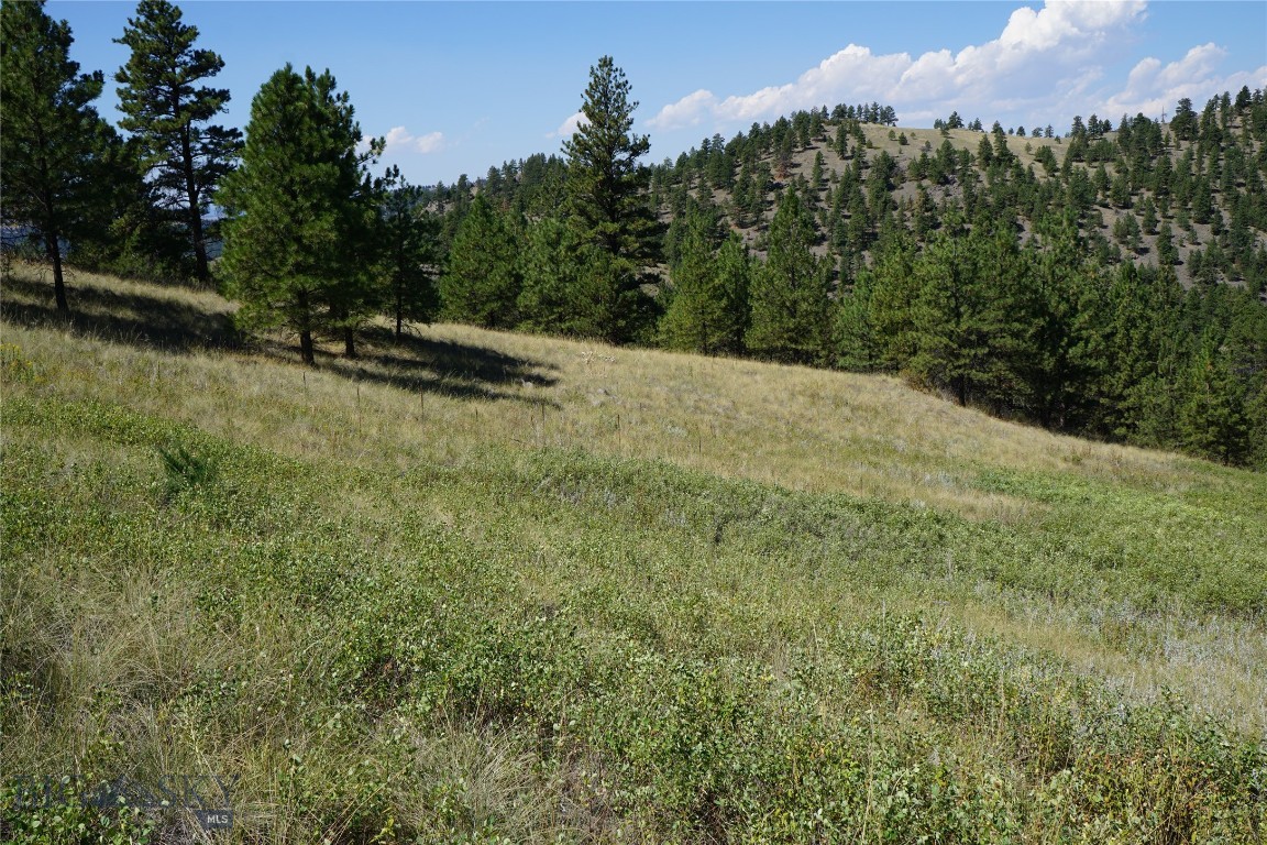 Tbd Ridge Crest Lane Property Photo 11
