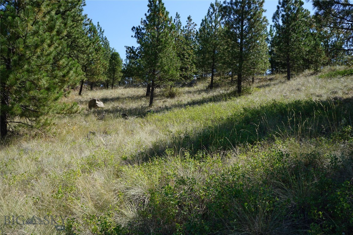 Tbd Ridge Crest Lane Property Photo 12