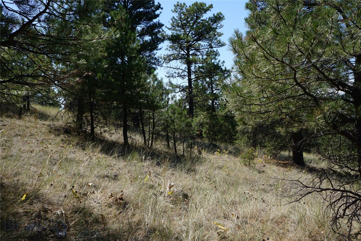 Tbd Ridge Crest Lane Property Photo 13