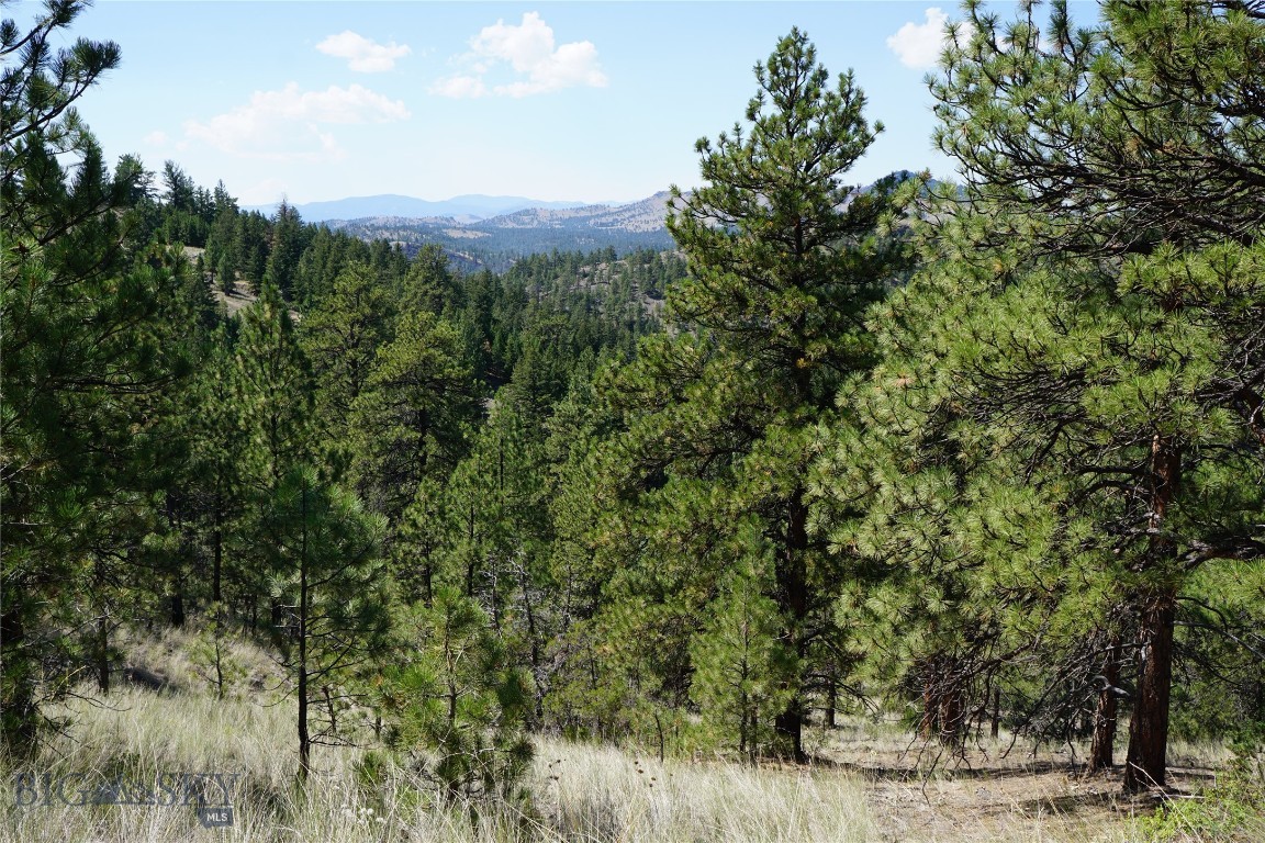 Tbd Ridge Crest Lane Property Photo 14
