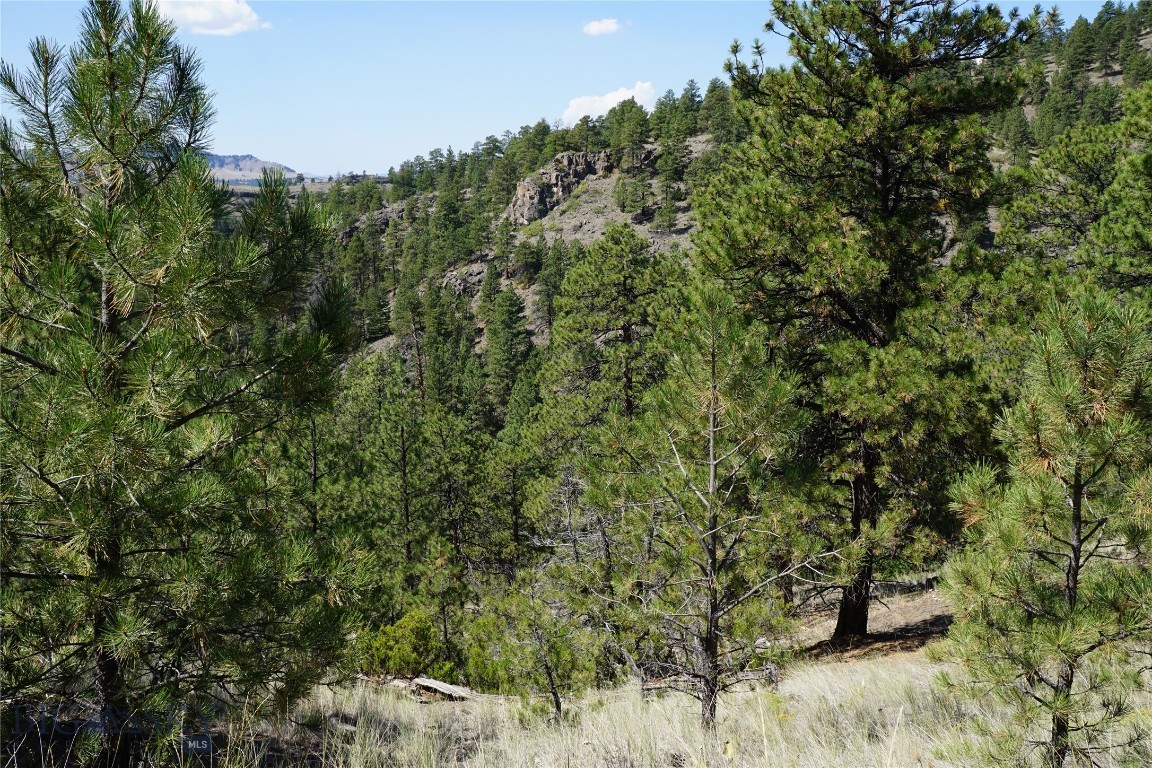 Tbd Ridge Crest Lane Property Photo 15