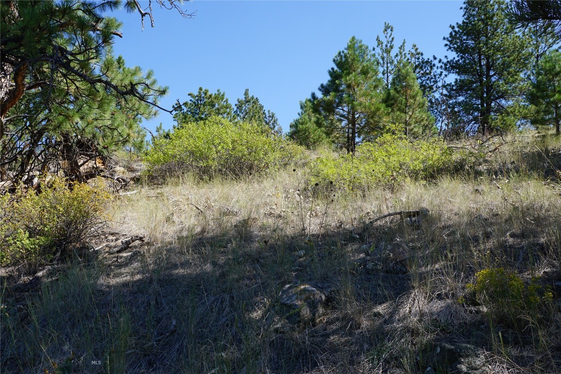 Tbd Ridge Crest Lane Property Photo 16