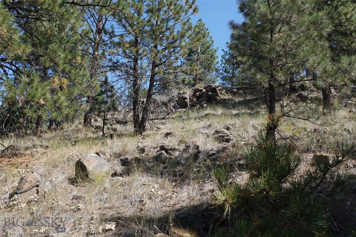 Tbd Ridge Crest Lane Property Photo 17