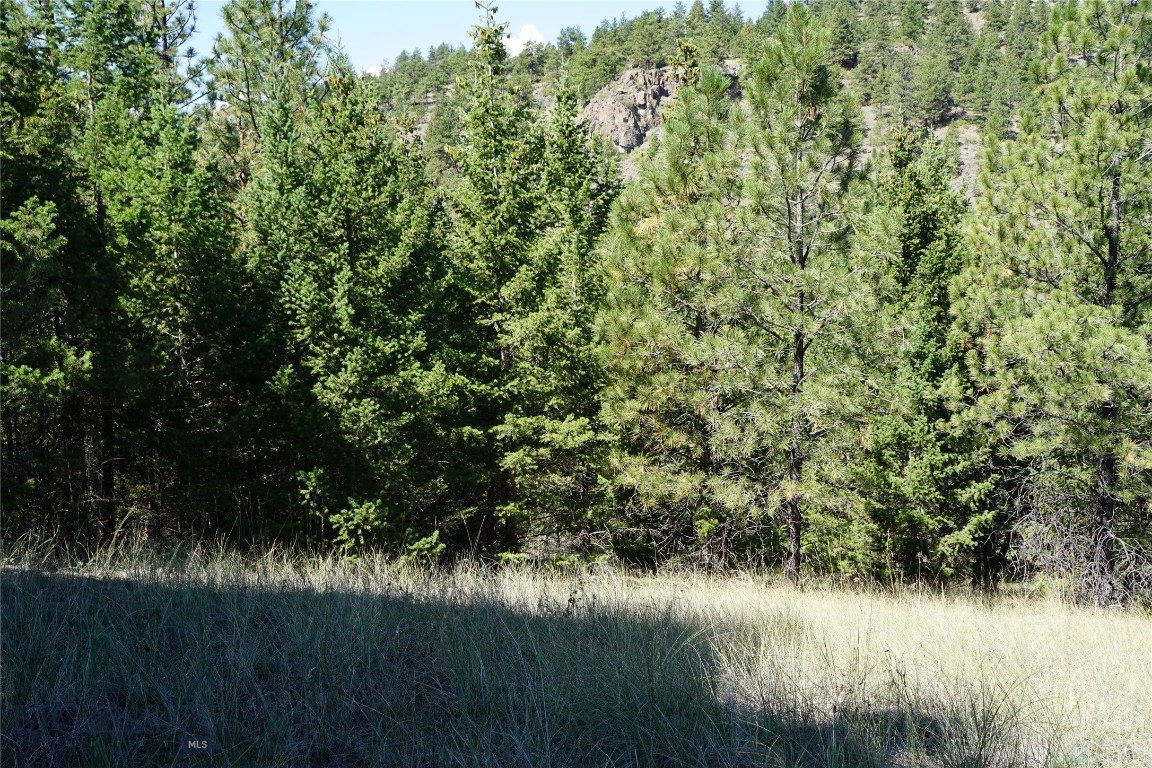 Tbd Ridge Crest Lane Property Photo 18