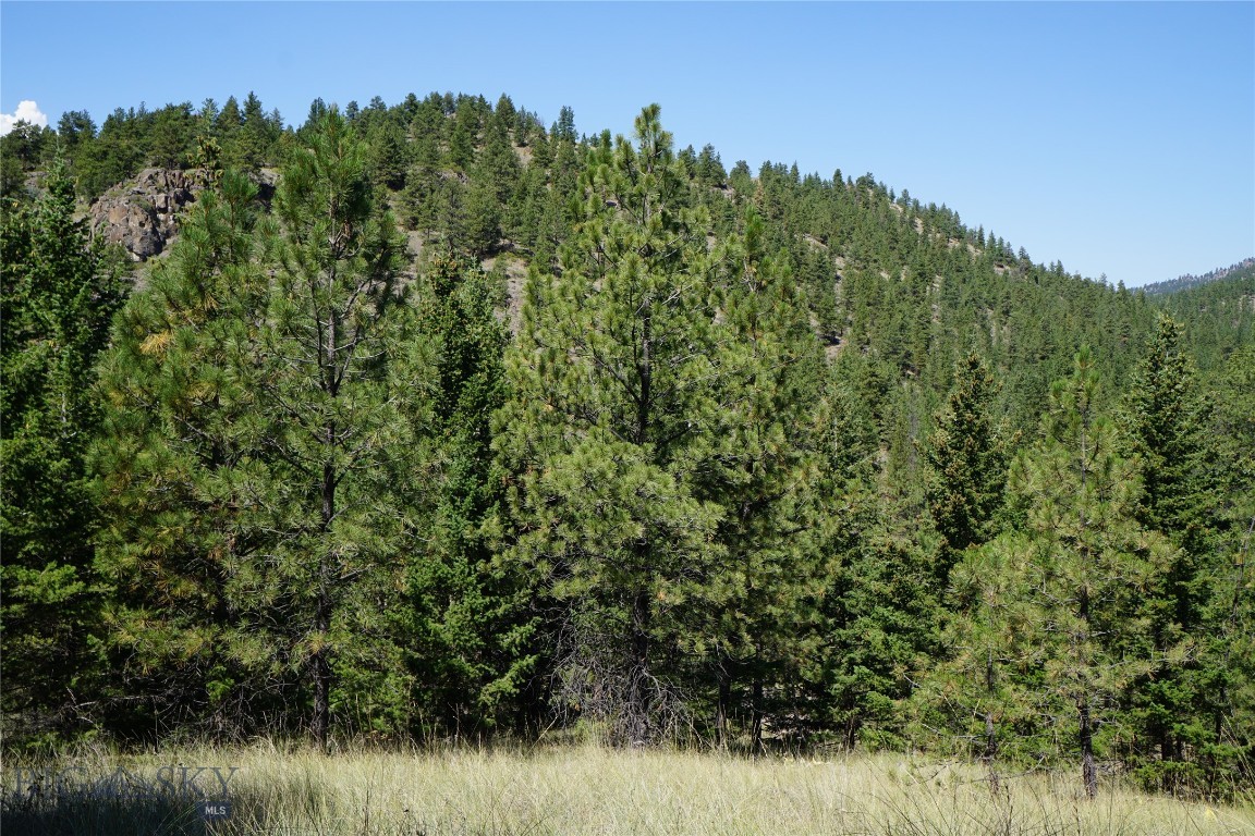 Tbd Ridge Crest Lane Property Photo 19