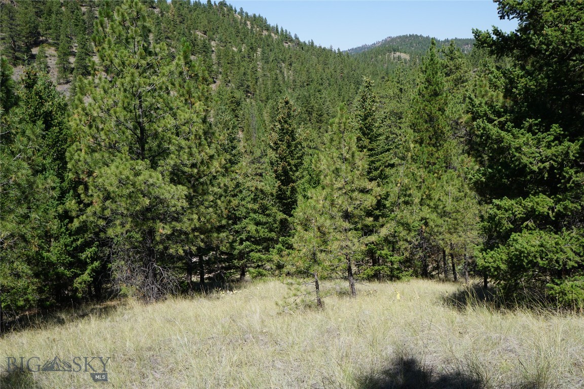 Tbd Ridge Crest Lane Property Photo 20