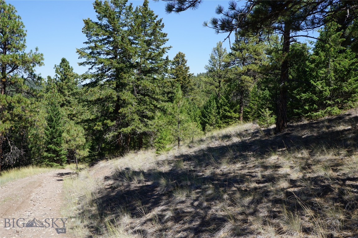 Tbd Ridge Crest Lane Property Photo 21