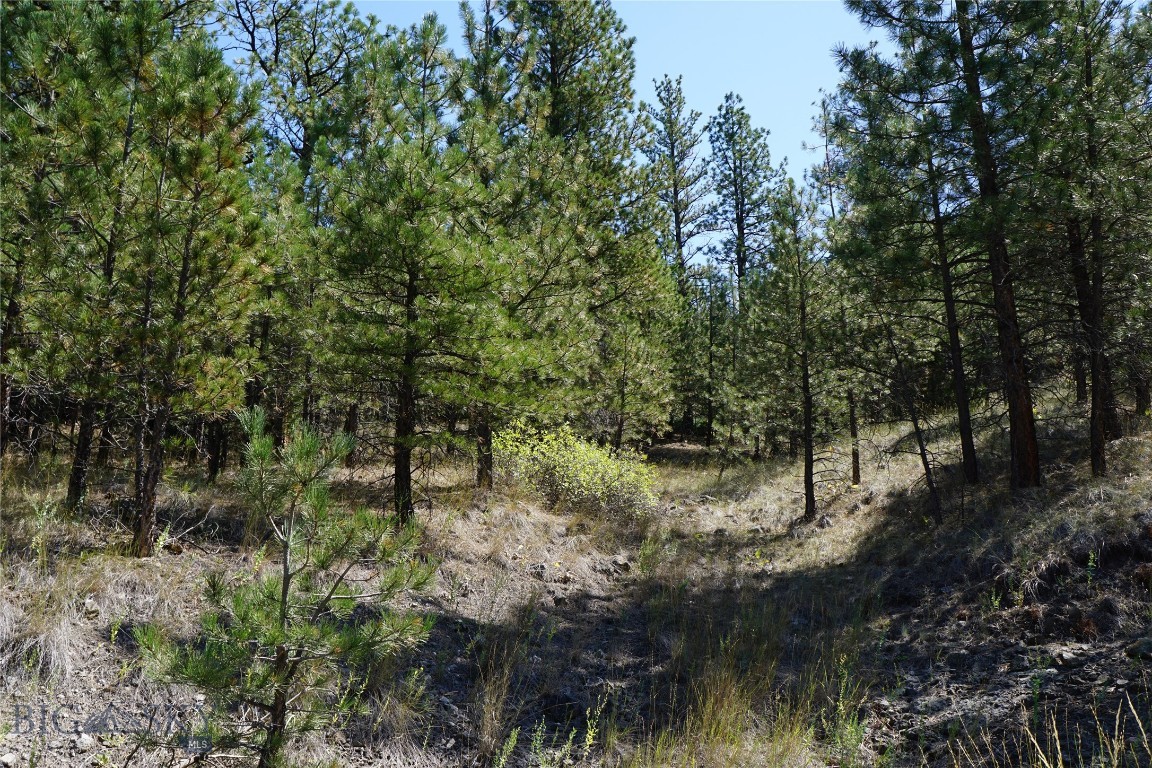 Tbd Ridge Crest Lane Property Photo 22