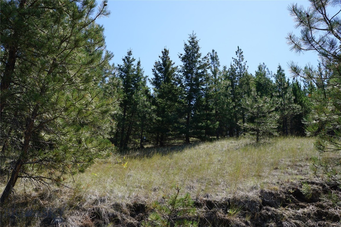 Tbd Ridge Crest Lane Property Photo 23