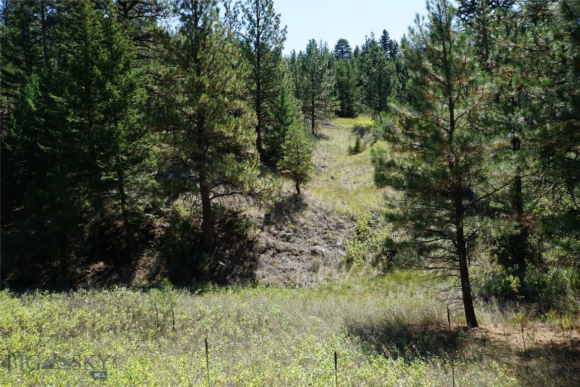 Tbd Ridge Crest Lane Property Photo 24