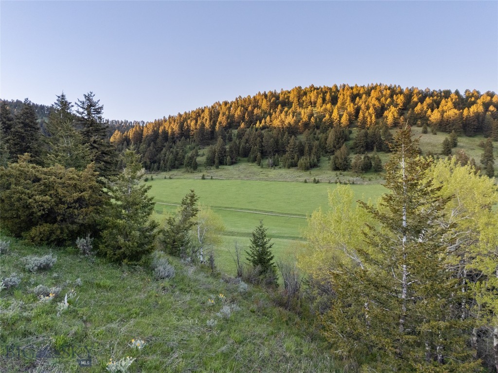 373 Rockhill Road Property Photo 4