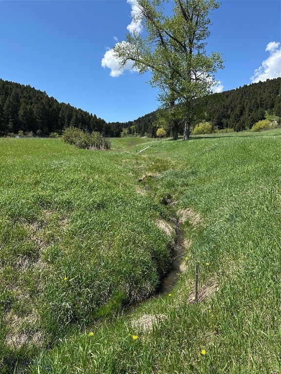 373 Rockhill Road Property Photo 13