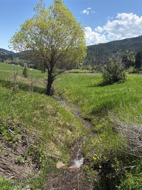 373 Rockhill Road Property Photo 14