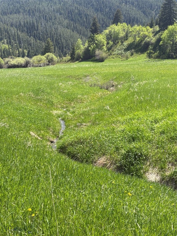 373 Rockhill Road Property Photo 16