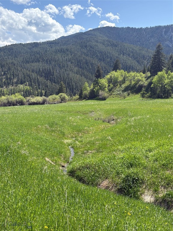 373 Rockhill Road Property Photo 17