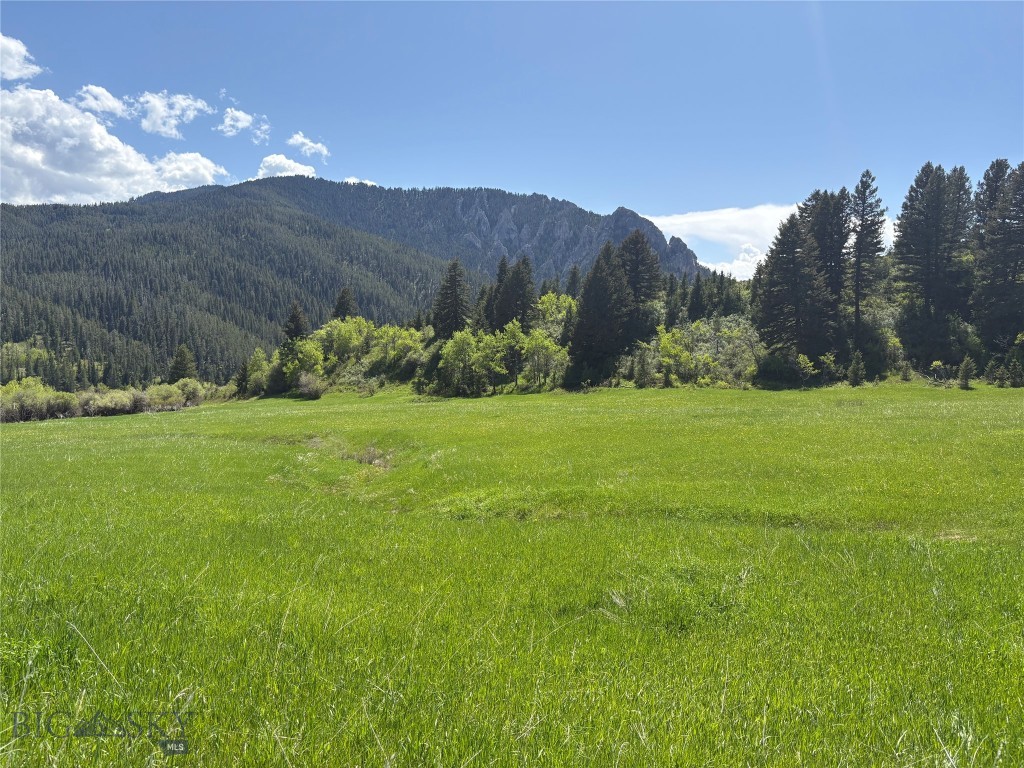 373 Rockhill Road Property Photo 18