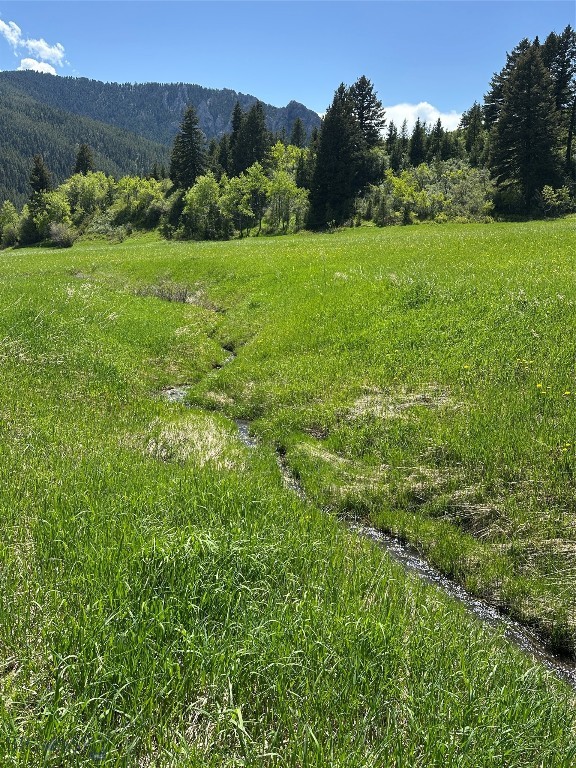 373 Rockhill Road Property Photo 19