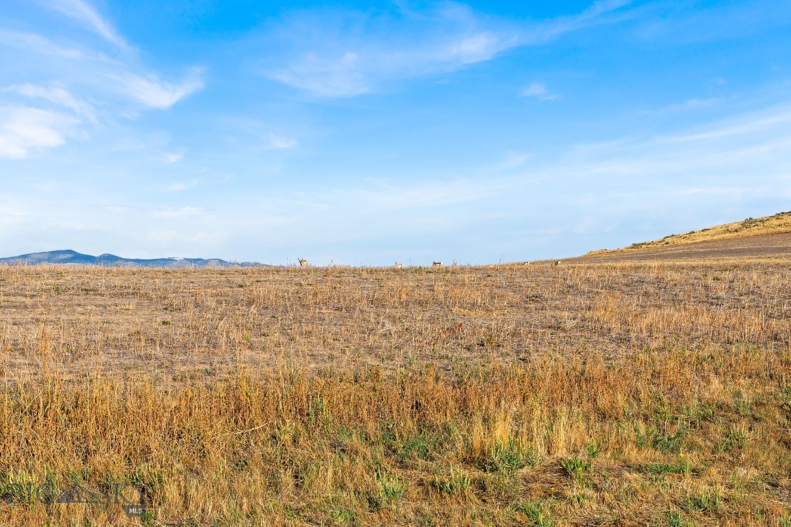 Tbd Rolling Prairie Way Property Photo 5