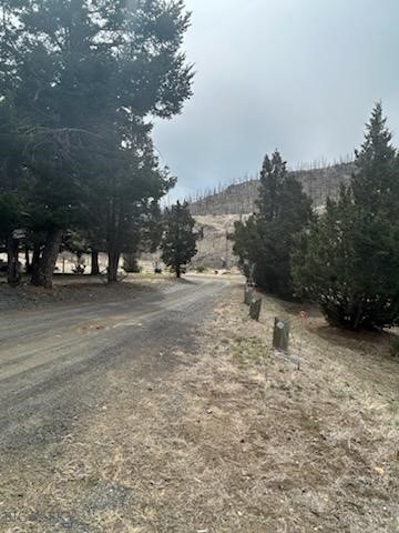 180 Lower Rader Creek Road Property Photo 10