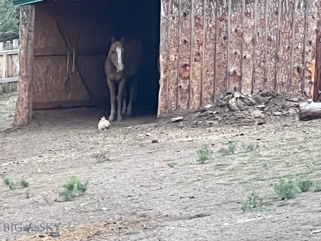 180 Lower Rader Creek Road Property Photo 23