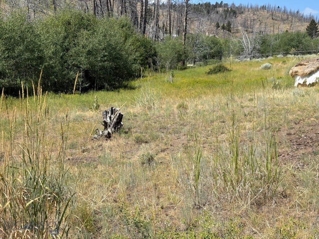 180 Lower Rader Creek Road Property Photo 24