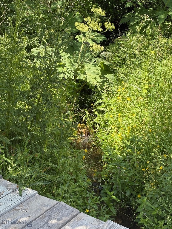 180 Lower Rader Creek Road Property Photo 29