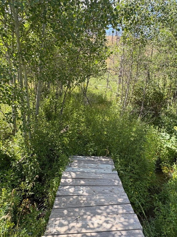 180 Lower Rader Creek Road Property Photo 30