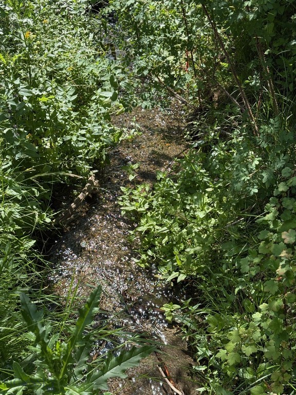 180 Lower Rader Creek Road Property Photo 31