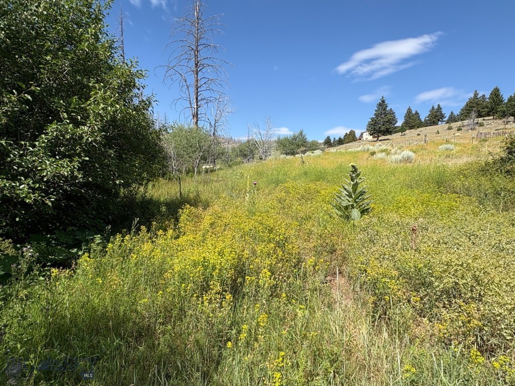 180 Lower Rader Creek Road Property Photo 33