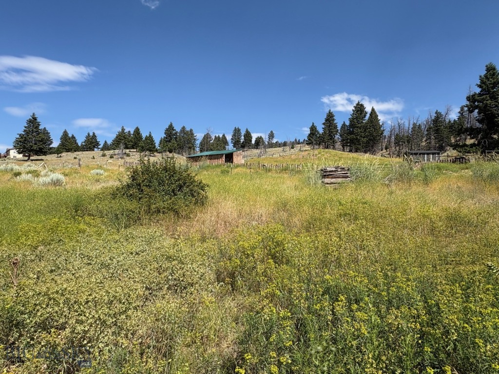 180 Lower Rader Creek Road Property Photo 34