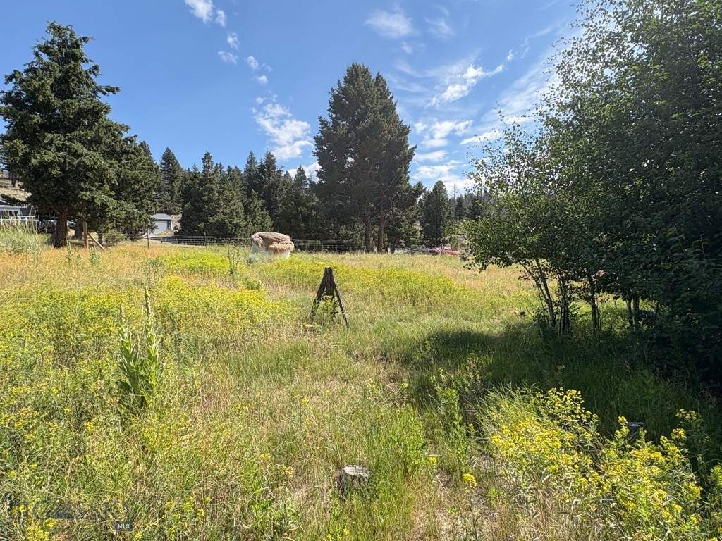 180 Lower Rader Creek Road Property Photo 35