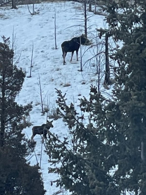 180 Lower Rader Creek Road Property Photo 38