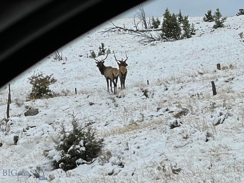 180 Lower Rader Creek Road Property Photo 39