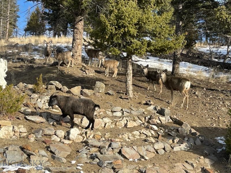 180 Lower Rader Creek Road Property Photo 40