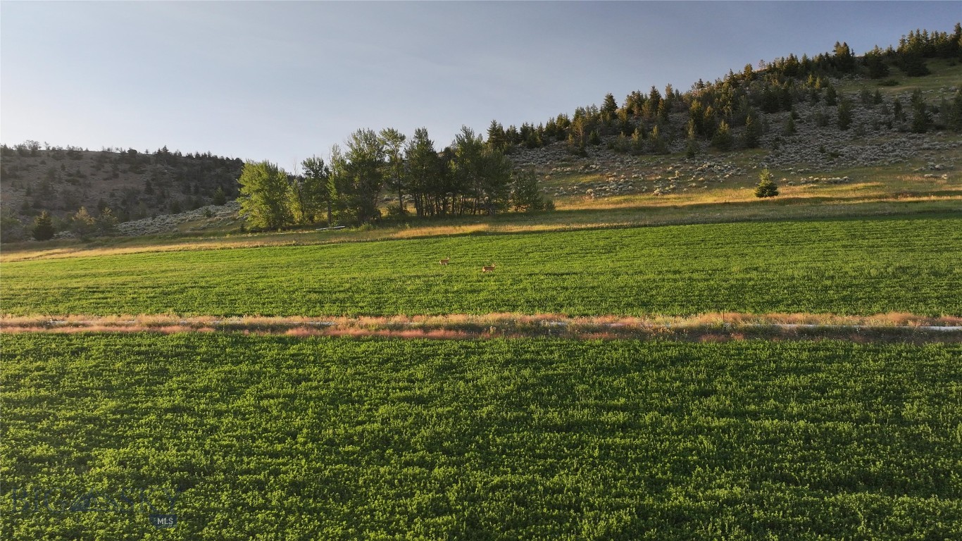 Tbd West Boulder Road Property Photo 8